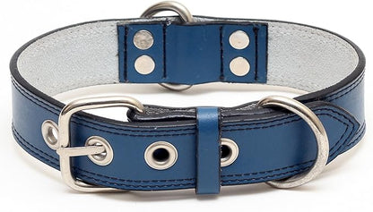 Premium Leather Collars with Stainless Steel Buckles (21"-24", Blue)