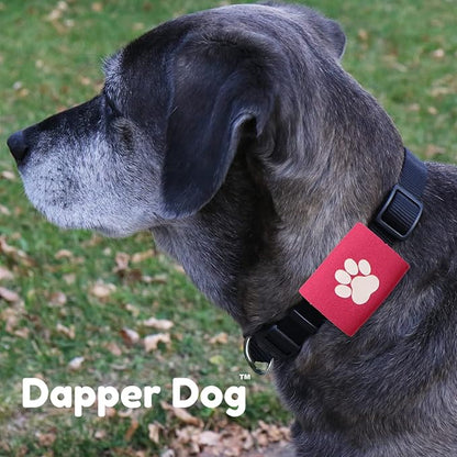Dapper Dog Pet Tag Silencer and AirTag Holder (Pink with White Paw)