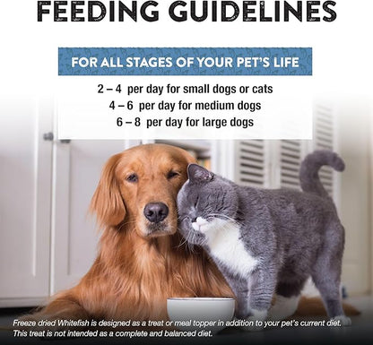 Northwest Naturals Raw Rewards Freeze-Dried Whitefish Treats for Dogs and Cats - Bite-Sized Pieces - Healthy, 1 Ingredient, Human Grade Pet Food, All Natural - 10 Oz (Pack of 3)