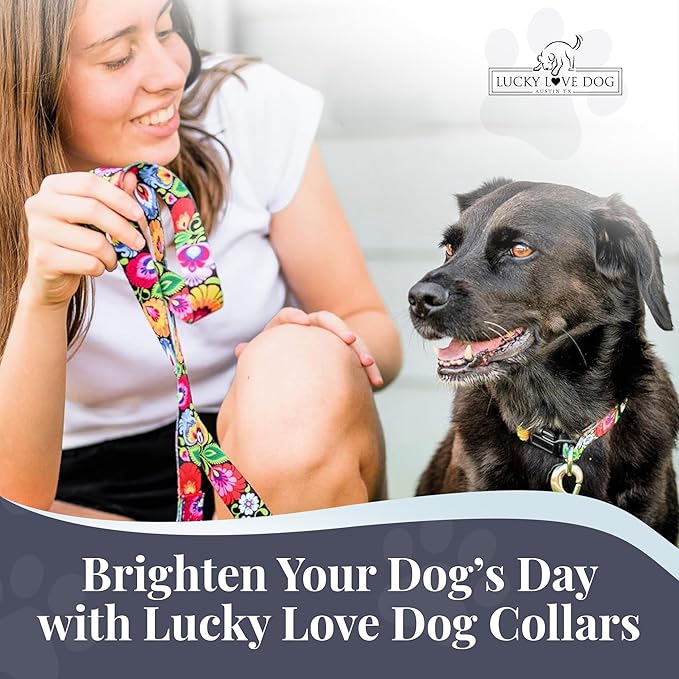Lucky Love Dog - Adjustable Dog Collar with Easy Click Buckle for Small to Large Dogs, Durable, & Comfortable Collar for Male & Female Dogs, Pet Collar for Puppies & Adult Dogs - Blackbird, Medium