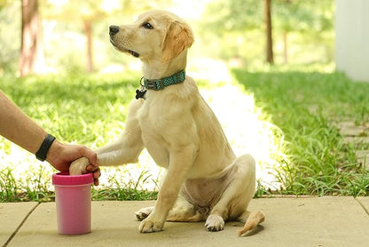 Dexas Pink Medium Dog Paw Cleaner, MudBuster - Premium Quality Pet Supplies and Dog Accessories for Dogs, Easy to Use, Mess Free, BPA Free, Patented Product