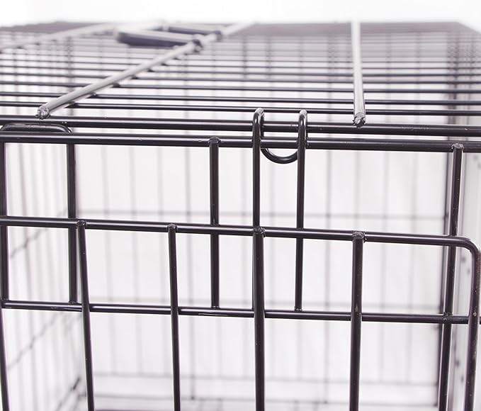 Durable, Foldable Metal Wire Dog Crate with Tray, Single Door, 24 x 16.7 x 19 Inches, Black