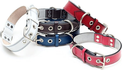 Premium Leather Collars with Stainless Steel Buckles (15"-18", White)