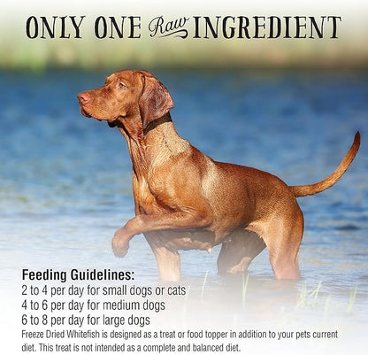 Northwest Naturals Raw Rewards Freeze-Dried Whitefish Treats for Dogs and Cats - Bite-Sized Pieces - Healthy, 1 Ingredient, Human Grade Pet Food, All Natural - 2.5 Oz