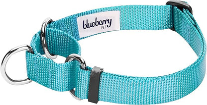 Blueberry Pet Essentials Martingale Safety Training Dog Collar, Turquoise, Medium, Heavy Duty Nylon Adjustable Collars for Dogs