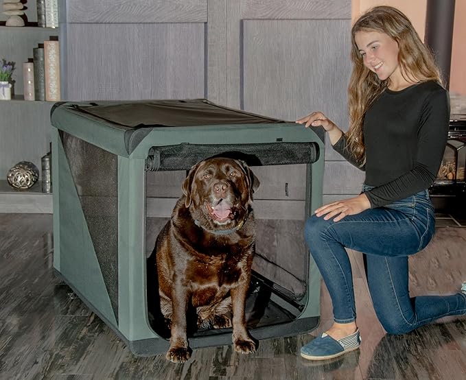 Pet Gear Insta-Fold Soft Crate for Dogs, 42", Forest