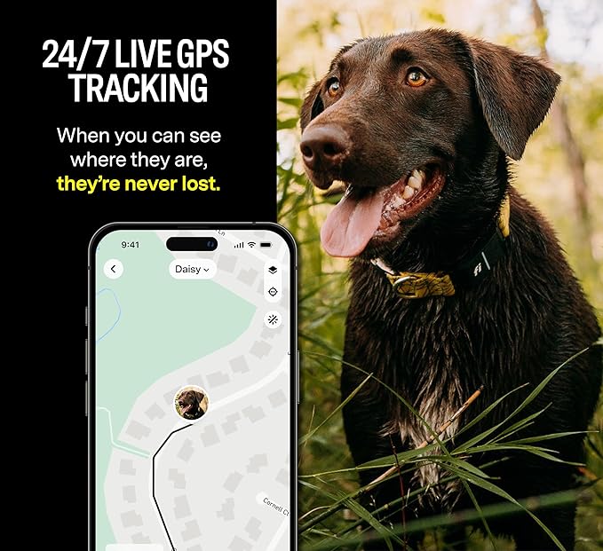Fi Series 3 Smart Dog Collar - GPS Dog Tracker and Activity & Health Monitor, Waterproof, LED Light, Escape Alerts, Nationwide Coverage [Free 1 Year Membership] (Pink, X Large)