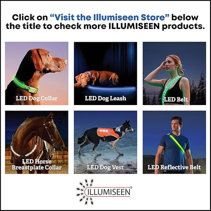 Illumiseen LED Dog Collar USB Rechargeable - Bright & High Visibility Lighted Glow Collar for Pet Night Walking - Weatherproof, in 6 Colors & 6 Sizes (Green XX-Small)
