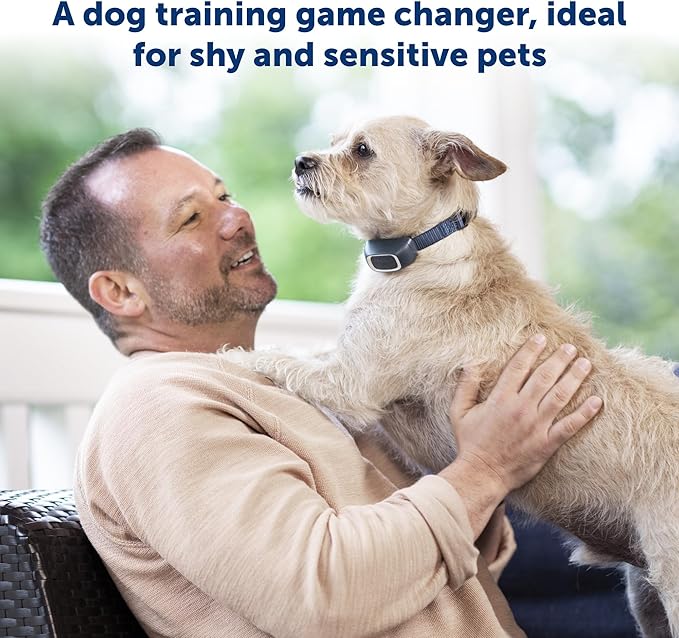 PetSafe 100 Yard Remote Training Collar – Smaller Version for Small or Medium Dogs – Choose from Tone, Vibration, or 15 Levels of Static Stimulation – Short Range Option for Training Off Leash Dogs