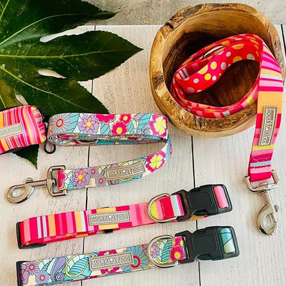 Lucky Love Dog, Colorful Stripes Dog Collar, Yellow, Pink, Blue Color Dog Collar, Cute Dog Collar for Girl Dogs - (Large, Molly Collar)