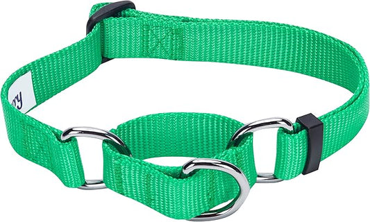 Blueberry Pet Essentials Martingale Safety Training Dog Collar, Emerald, Medium, Heavy Duty Nylon Adjustable Collars for Dogs