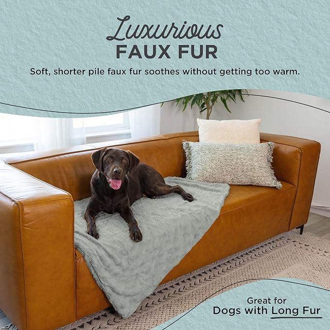 Best Friends by Sheri Calming Lux Dog Blanket, Gray, 40" x 50"
