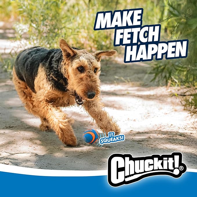 Chuckit! Ultra Squeaker Ball Dog Toy for Medium Breeds - Bouncy Squeaky Fetch Balls for Dogs - Floating Water Pet Toys - Durable Rubber - Size Medium - 2.5" Diameter - Pack of 2