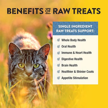 Northwest Naturals Raw Rewards Freeze-Dried Whitefish Treats for Dogs and Cats - Bite-Sized Pieces - Healthy, 1 Ingredient, Human Grade Pet Food, All Natural - 10 Oz (Pack of 3)