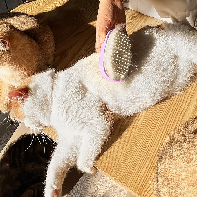 Soft 3-in-1 Silisone Spray Brush, Upgraded for Shedding, Cleaning and Spa Massage, Hair Removal, Best Water Steam Brush for indoor Long or Short Haired Cat and Dog (Purple, Round)