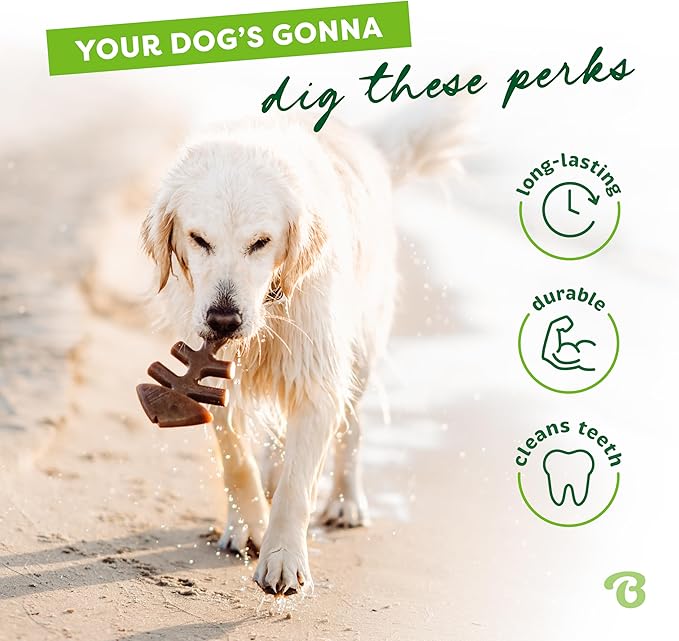 Benebone Fishbone Durable Dog Chew Toy for Aggressive Chewers, Real Fish, Made in USA, Large