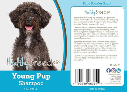 Healthy Breeds Schnoodle Young Pup Shampoo 8 oz