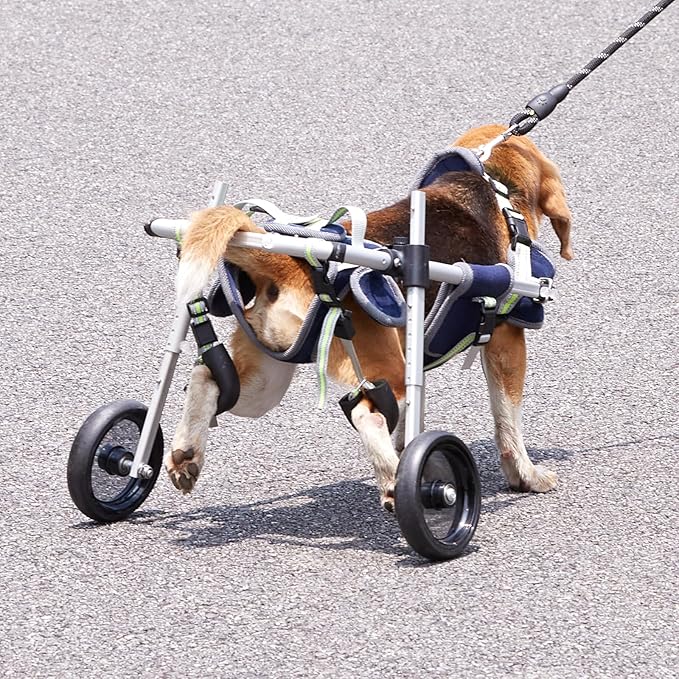 VEVOR Dog Wheelchair for Back Legs, Pet Wheelchair Lightweight & Adjustable Assisting in Healing, Dog Cart with 2 Wheels for Injured, Disabled, Paralysis, Hind Limb Weak Pet (Small)