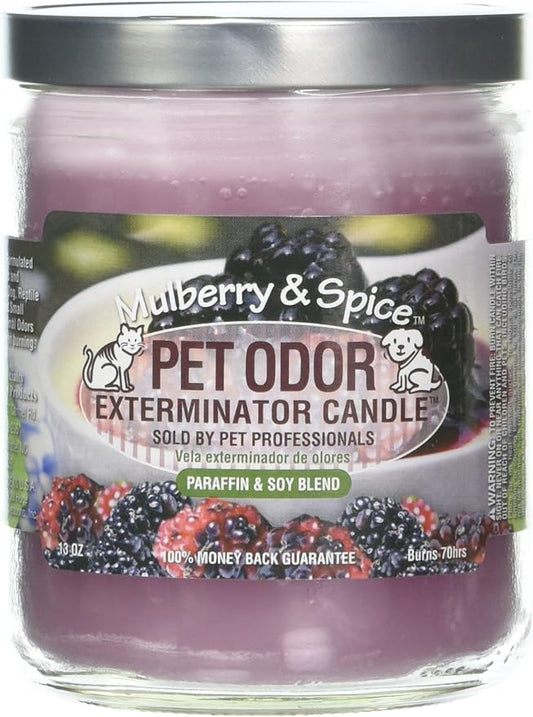 Pet Odor Exterminator Candle, Mulberry & Spice,13 oz