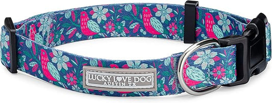 Lucky Love Dog, Whimsical Bird Dog Collar, Vivid Pink, Mint, Blue Flowers X-Small Dog Collar, Adjustable Collars for Female Male Dogs - (XS, Carriebelle Collar)