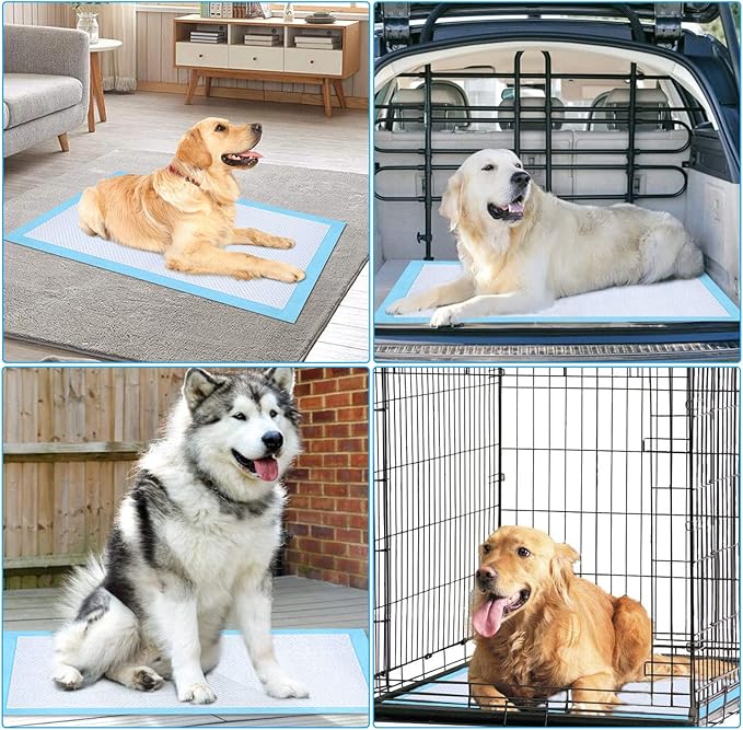 Ownpets 42 inch Collapsible Dog Crate and Dog Pee Pads 40 Counts