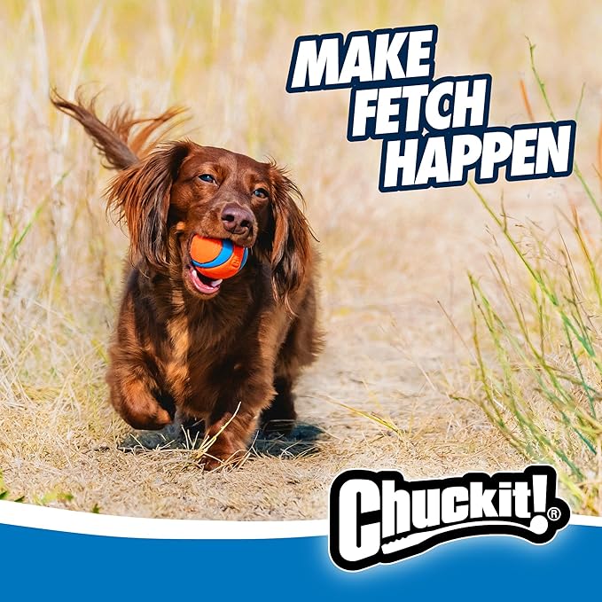 Chuckit! Ultra Ball Dog Toy - Small Bouncy Fetch Balls For Dogs 0-20 lbs - Made from Durable Rubber - Floating Water Pet Toys - Size Small - 2-inch Diameter - Pack of 2