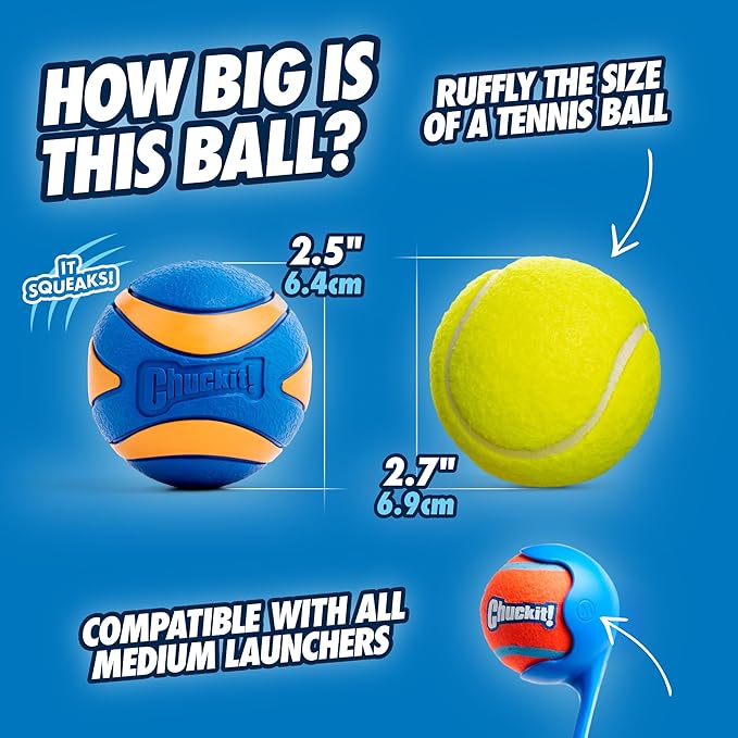 Chuckit! Ultra Squeaker Ball Dog Toy for Medium Breeds - Bouncy Squeaky Fetch Balls for Dogs - Floating Water Pet Toys - Durable Rubber - Size Medium - 2.5" Diameter - Pack of 2