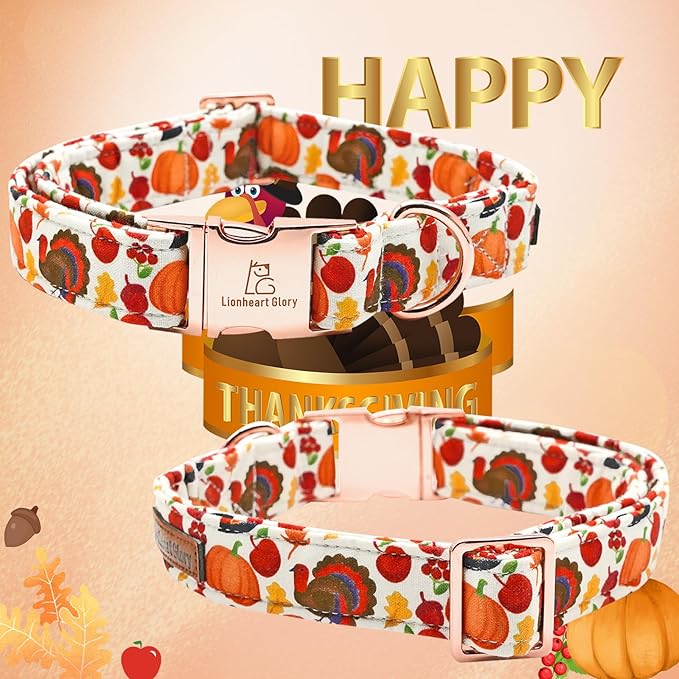 Lionheart glory Turkey Dog Collar Thanksgiving Dog Collar Girl or Boy Dogs Collar Pet Gift Holiday Dog Collar for Medium Dog