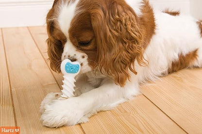 Hartz Chew ‘n Clean Twisty Bone Dog Chew Toy, Bacon Scented for Moderate Chewers, Extra Small