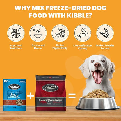 Muenster Freeze-Dried Limited Edition Pumpkin Spice Meatballs for Dogs, 4 oz Package