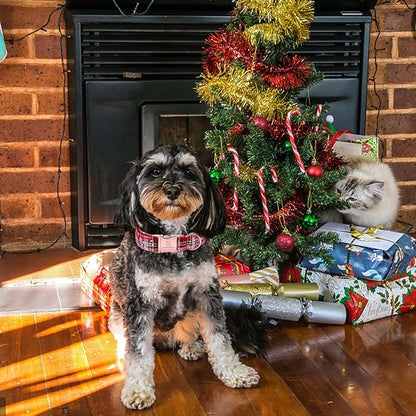 Lionheart glory Christmas Plaid Dog Collar, Dogs Collar Adjustable Soft and Comfortable Dog Collars for Medium Dogs Girl or Boy Pet Gift Fall Collar Dog Collar
