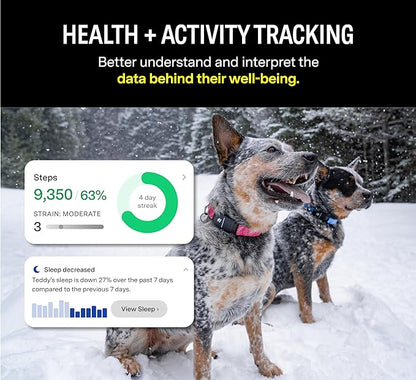 Fi Series 3 Smart Dog Collar - GPS Dog Tracker and Activity & Health Monitor, Waterproof, LED Light, Escape Alerts, Nationwide Coverage [Free 1 Year Membership] (Pink, X Small)