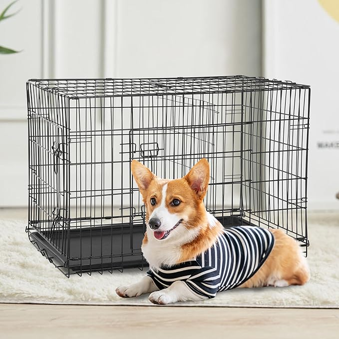 FDW XL Dog Crate Dog Kennel Cage with Double Door,42 inch Folding Metal Wire Dog Cage with Removable Tray&Divider Panel,Pet Crate for Medium Large Dogs,Black