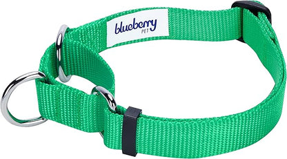 Blueberry Pet Essentials Martingale Safety Training Dog Collar, Emerald, Medium, Heavy Duty Nylon Adjustable Collars for Dogs