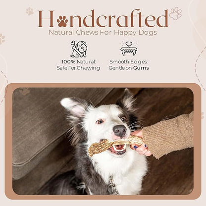 Premium White Tail Deer Antler Dog Chews, 100% All Natural, Naturally Shed Antlers, Select Cut to Size, Sanded Smooth, Dog Bones (3 Pack) (Large)