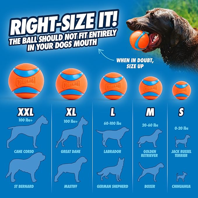 Chuckit! Ultra Ball Dog Toy - Small Bouncy Fetch Balls For Dogs 0-20 lbs - Made from Durable Rubber - Floating Water Pet Toys - Size Small - 2-inch Diameter - Pack of 2