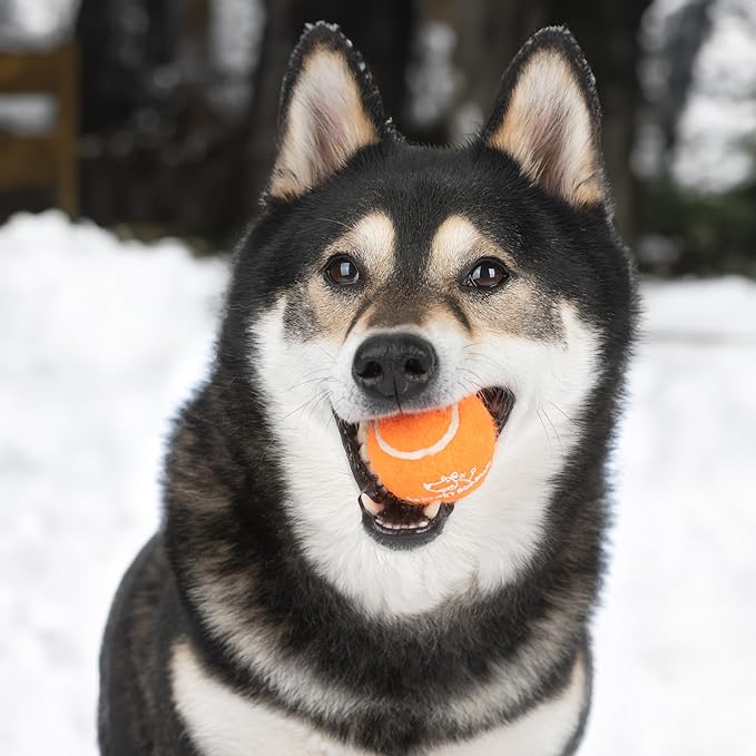 Best Pet Supplies Squeaky Tennis Toys for Dogs, 8-Pack, Heavy-Duty Interactive Pet Toys for Throwing and Fetching, Supports Exercise and Natural Behavior Training, Durable - Small