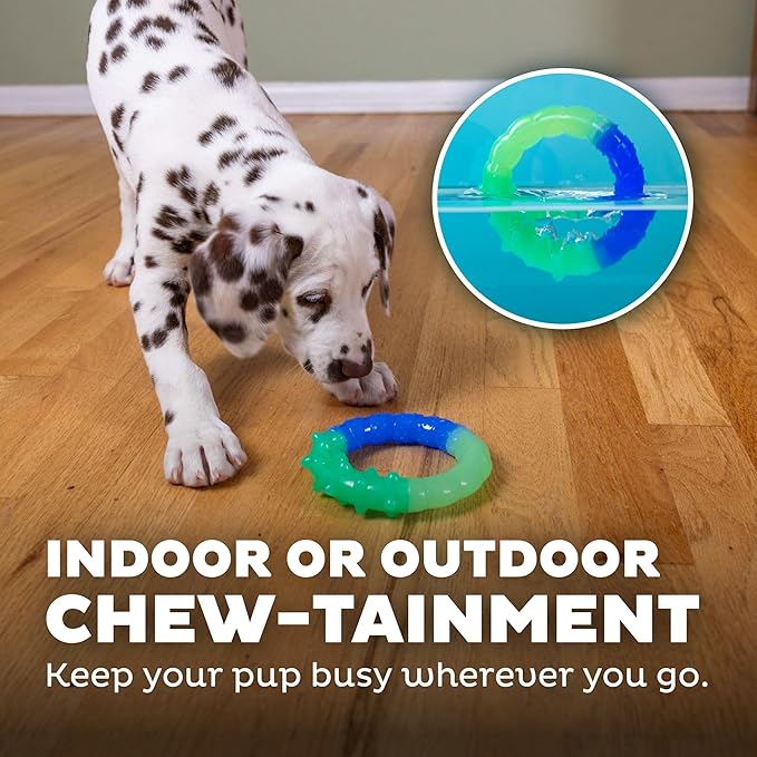 Petstages Orka Grow-with-Me-Ring Dog Chew Toy
