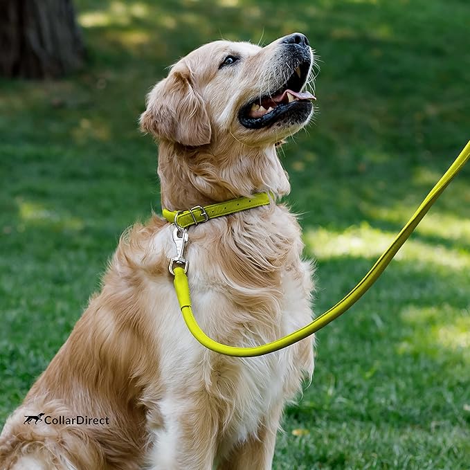 CollarDirect Rolled Leather Dog Collar, Soft Padded Round Puppy Collar, Handmade Genuine Leather Collar Dog Small Large Cat Collars 13 Colors (6-7 Inch, Lime Green Textured)