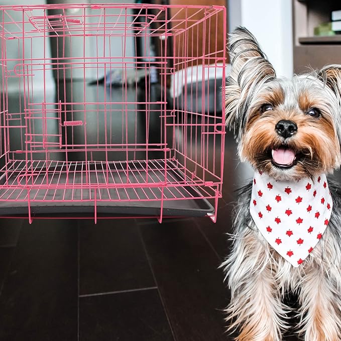 POPETPOP Large Dog Crate Pet Folding Cage Collapsible Dog Cage Indoor Outdoor Dog Crate Small Metal Wire Dog Crate with Leak- Pan Portable Pet Cage for Puppy Cat Rabbit Dog Kennel