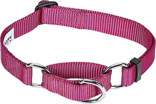 Blueberry Pet Essentials Martingale Safety Training Dog Collar, Very Berry, Large, Heavy Duty Nylon Adjustable Collars for Dogs