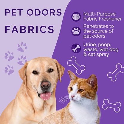 No Scent Carpet Upholstery & Fabric Furniture Spray Spot Cleaner for Wet Dog Smell, Cat Spray, Pet Odor, Urine, Poop & Secretions (128 Fl Oz / 3.8 Liter) Gallon