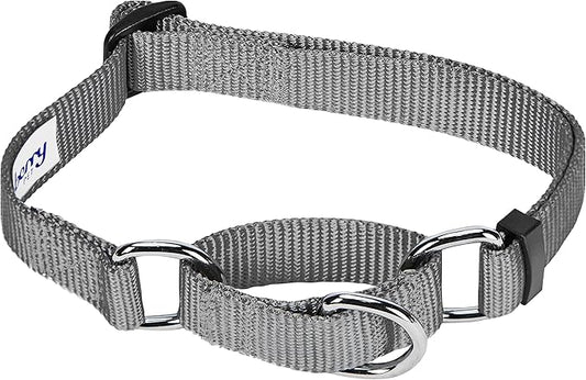 Blueberry Pet Essentials Martingale Safety Training Dog Collar, Flint Gray, Large, Heavy Duty Nylon Adjustable Collars for Dogs