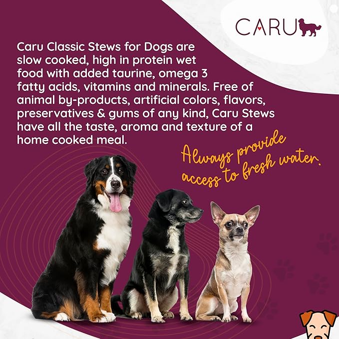 Caru Real Beef Stew for Dogs, Natural Adult Wet Dog Food with Added Vitamins & Minerals, Free From Grain, Wheat & Gluten (Pack of 12)
