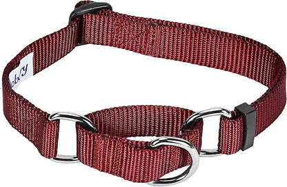 Blueberry Pet Essentials Martingale Safety Training Dog Collar, Fired Brick, Small, Heavy Duty Nylon Adjustable Collars for Dogs
