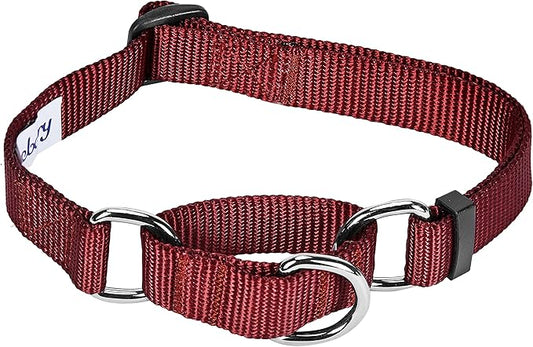 Blueberry Pet Essentials Martingale Safety Training Dog Collar, Fired Brick, Small, Heavy Duty Nylon Adjustable Collars for Dogs