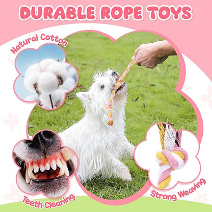 Zeaxuie Pink Puppy Toys for Teething, 9 Pack Small Dog Toys with Cute Puppy Chew Toys, Squeaky Crinkle Dog Toys, Treat Ball and Interactive Rope Toys