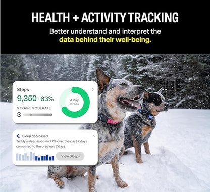 Fi Series 3 Smart Dog Collar - GPS Dog Tracker and Activity & Fitness Monitor, Waterproof, LED Light, Escape Alerts, Nationwide Coverage [Free 6 Month Membership] (Yellow, X-Small)