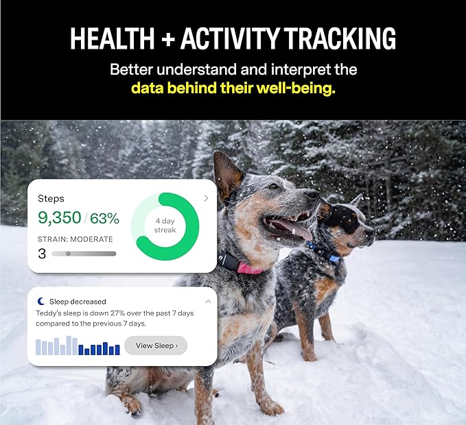 Fi Series 3 Smart Dog Collar - GPS Dog Tracker and Activity & Fitness Monitor, Waterproof, LED Light, Escape Alerts, Nationwide Coverage [Free 6 Month Membership] (Blue, X-Small)