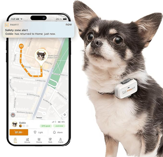 Lite for Small Dogs 4g GPS Tracker | Real Time Tracking | Activity Monitoring |Location History | Unlimited Range | Simply White